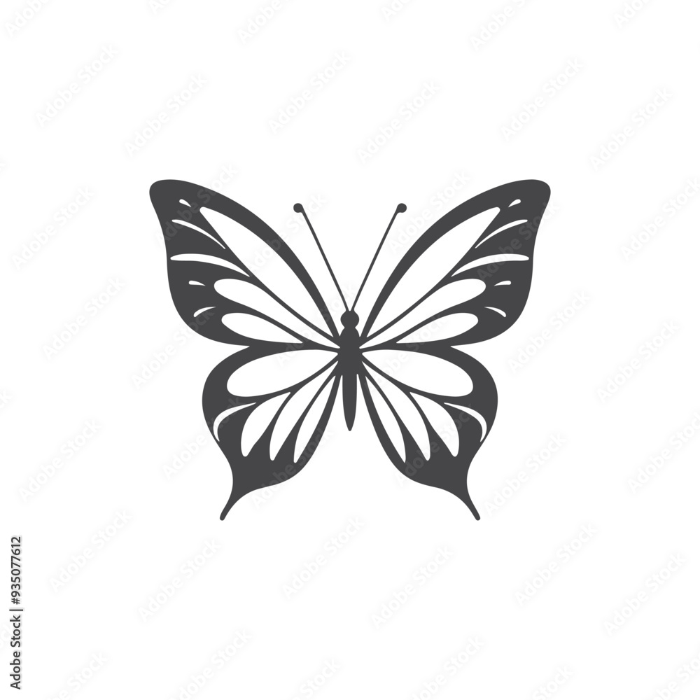 Fototapeta premium Butterfly vector template