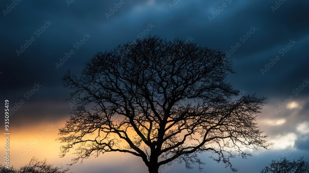 Silhouetted Tree at Sunset Silhouetted Tree at Sunset