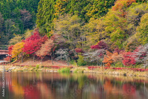 日本の風景・秋 群馬県安中市 紅葉の碓氷湖