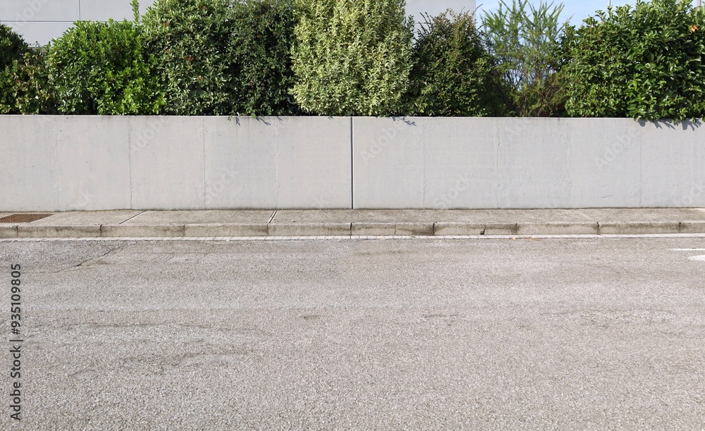 custom made wallpaper toronto digitalHouse fence consisting of a gray plaster wall and varoius evergreen plants behind. Cement sidewalk and asphalt street in front. Background for copy space.