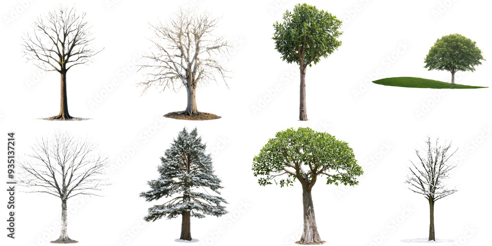 Fototapeta premium A collection of eight trees highlighting the stark contrast between wintery, snow-covered trees and lush evergreens, demonstrating the diversity of nature across seasons.
