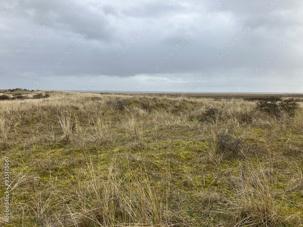 Blick auf die Küstenlandschaft der Nordseeinsel Juist Blick auf die Küstenlandschaft der Nordseeinsel Juist