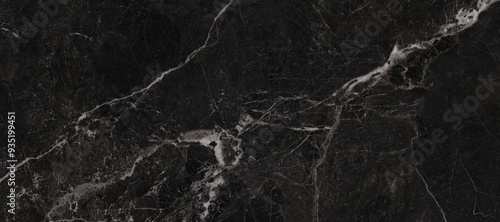 Obraz na płótnie black Granite Marble Background, Royal Black and white vain marble stone, natural pattern texture background and use for interiors tile, luxury design with high resolution, Modern floor decoration