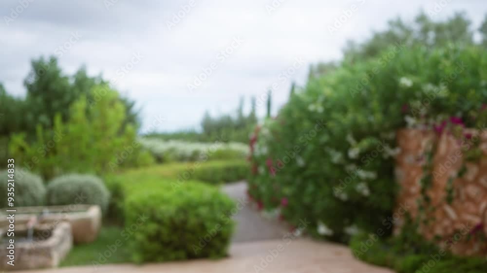 Defocused garden with lush greenery and colorful flowers on a cloudy day in mallorca with pathways, stone elements and trees in the background Defocused garden with lush greenery and colorful flowers on a cloudy day in mallorca with pathways, stone elements and trees in the background
