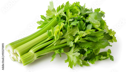 One fresh green celery bunch isolated on white, top view