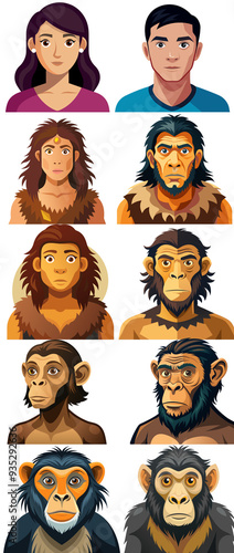 Stages of human evolution set , female and male human development stages. Dryopithecus, HomoNeanderthalensis, Homoerectus, Homohabilis, homosapiens. photo