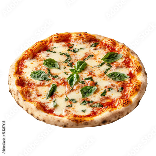 Delicious pizza isolated photo