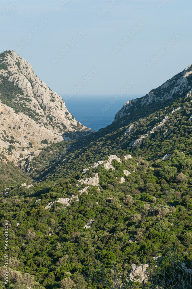 Fototapeta premium The green valley in spring and the sea view behind it. Green forest land and seascape in the background. Wonderful valleys and bays overlooking the sea. Muğla, Türkiye.