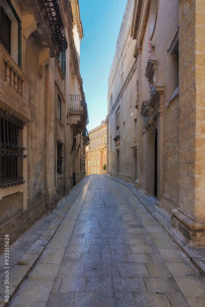 Obraz premium Mdina is one of the most beautiful and popular places in the whole of Malta. It was once the capital of Malta.