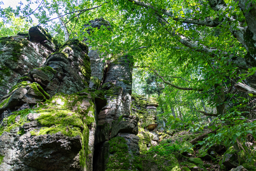 Felsen im Schwarzwald