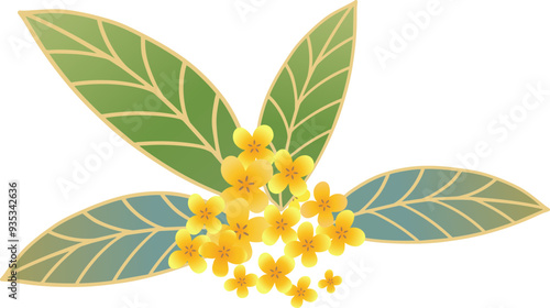 Osmanthus branches illustration decorated mid-autumn festival