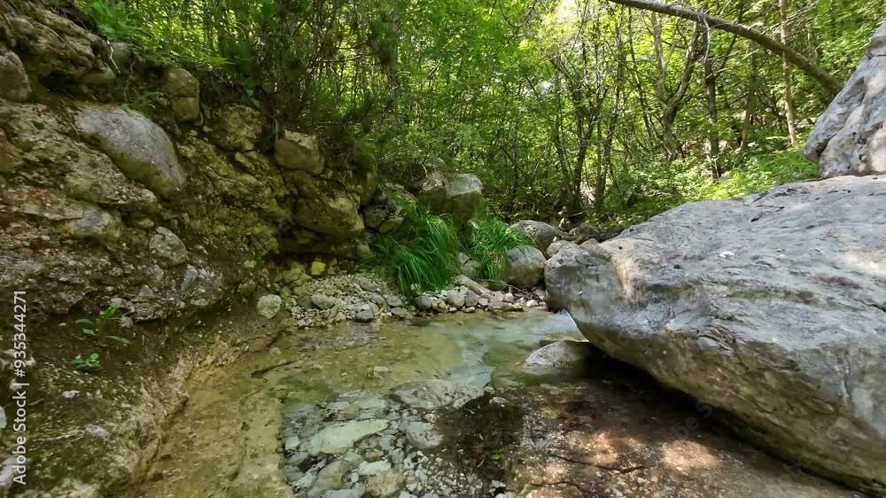 FPV drone cinematic camera moving through forest above small creek with fresh drinking water FPV drone cinematic camera moving through forest above small creek with fresh drinking water