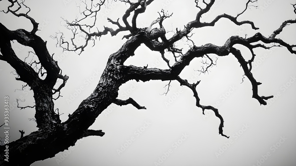Obraz premium A haunted tree with twisted branches
