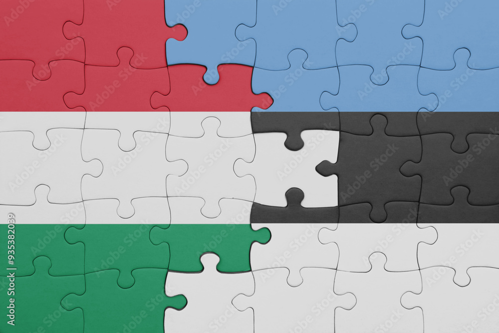 puzzle with the colourful national flag of estonia and flag of hungary. puzzle with the colourful national flag of estonia and flag of hungary.