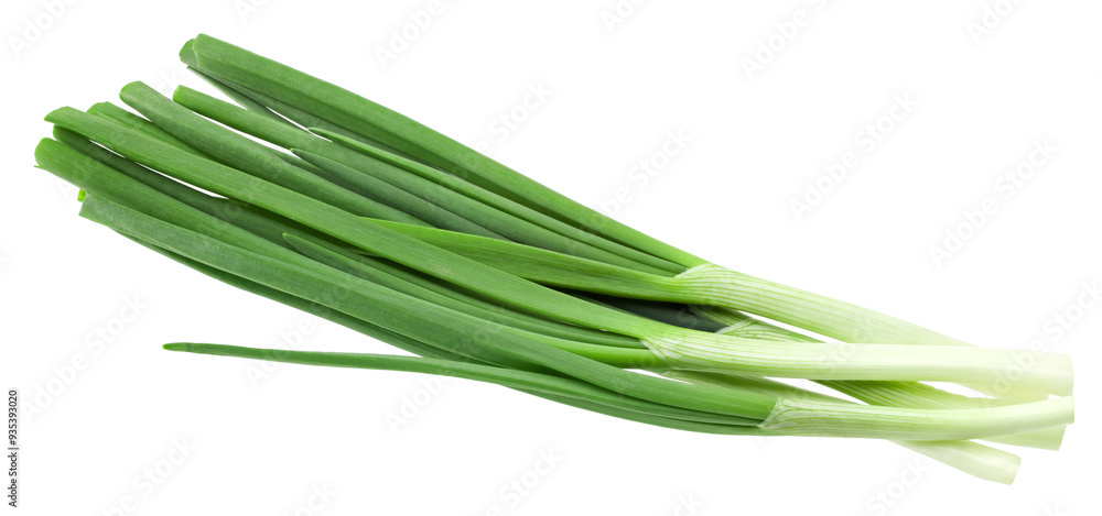 bunch of green onion isolated on white background. clipping path bunch of green onion isolated on white background. clipping path