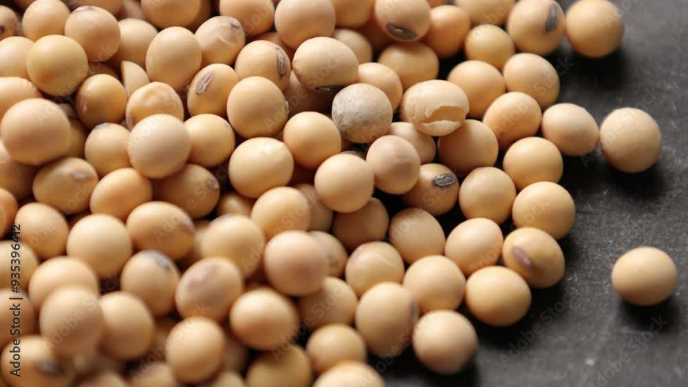 Closeup of a soybean Closeup of a soybean