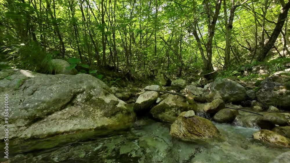 FPV drone cinematic camera moving through forest above small creek with fresh drinking water FPV drone cinematic camera moving through forest above small creek with fresh drinking water