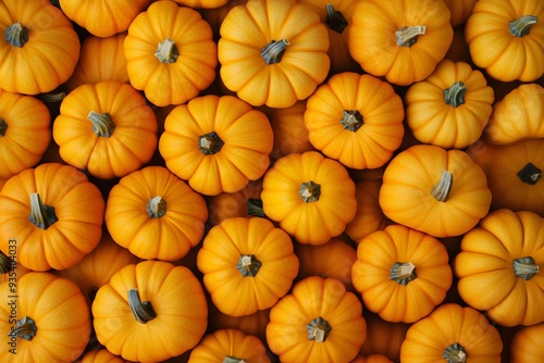 A pile of orange pumpkins. View from above.