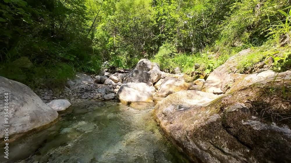 FPV drone cinematic camera moving through forest above small creek with fresh drinking water FPV drone cinematic camera moving through forest above small creek with fresh drinking water