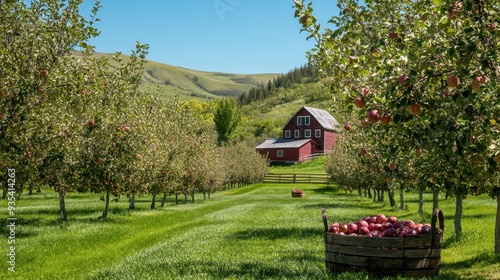 Scenic apple orchard with a red barn and mountains in the background.