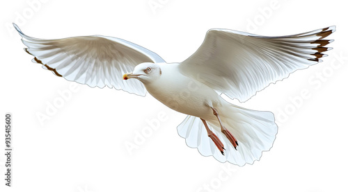 A white seagull is flying in the air