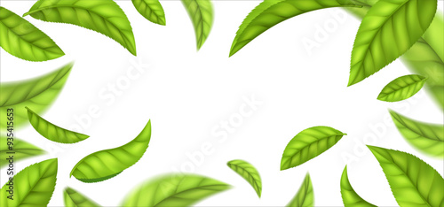 Background of realistic green tea leaves, on a white background. Spring or summer leaves fly abstractly.