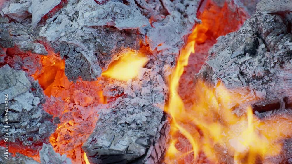 fire up close, burning wood, burning flames
fire up close, burning wood, burning flames