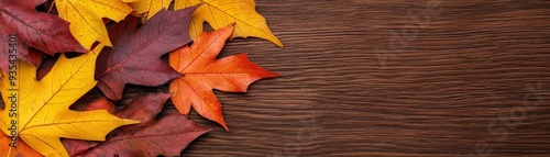 Wallpaper Mural Fallen maple leaf with a patchwork of autumn colors, from bright yellow to deep burgundy, highlighting the variation in fall foliage Torontodigital.ca