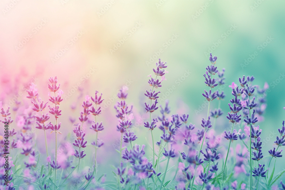 Obraz premium Calming Pastel Gradient Background with Lavender 