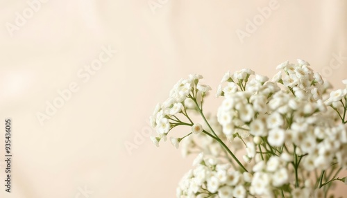 White gypsophila flowers or baby's breath flowers close up on beige background selective focus banner. Copy space. Flowers background, ai