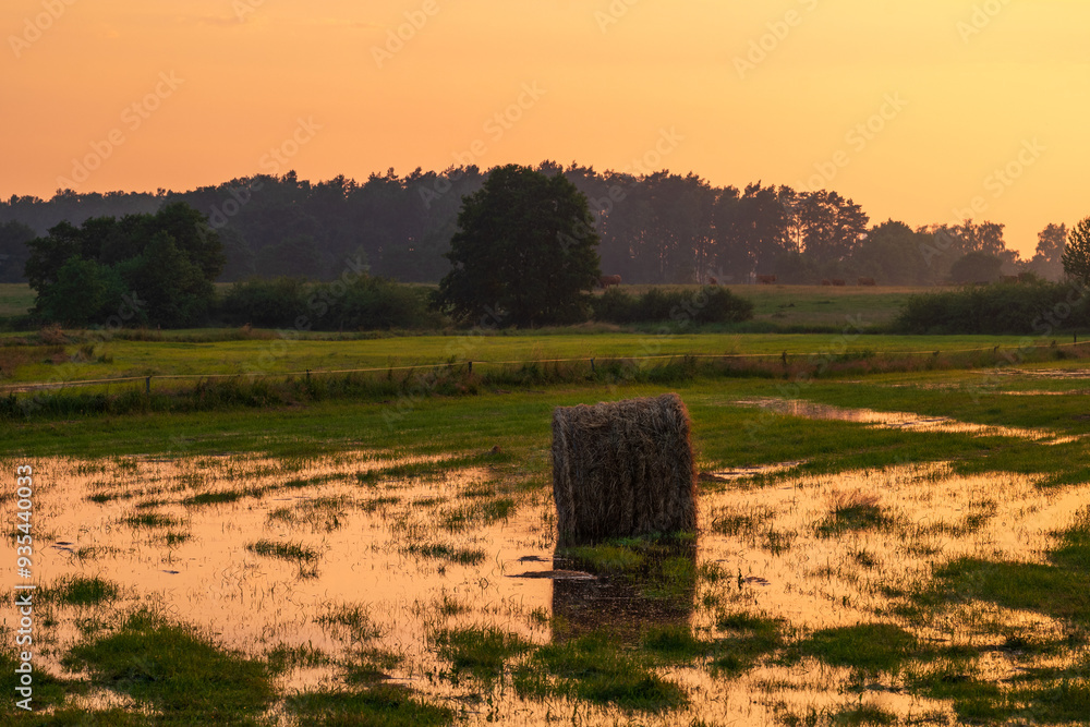 Beautiful rural landscape. Bales of hay in a wet meadow shortly after a storm. Golden hour. Horses in the distance. Slajszewo, Poland