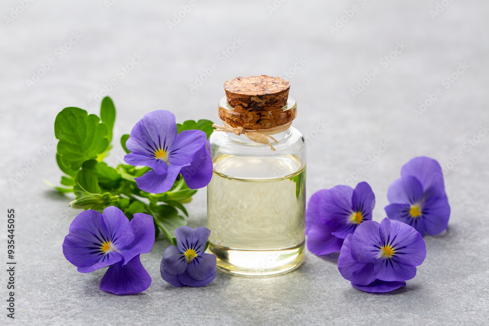 Glass bottle of essential viola oil with fresh violet flowers, beauty treatment, alternative medicine Glass bottle of essential viola oil with fresh violet flowers, beauty treatment, alternative medicine