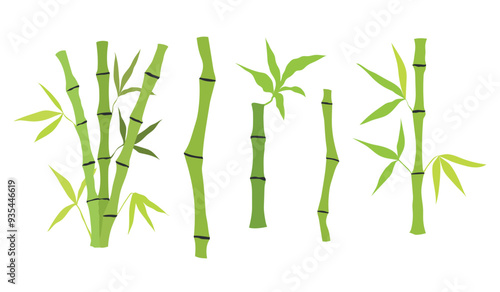 Hand drawn bamboo tree stem and leaves. Set of bamboo tree isolated on white background. Vector illustration