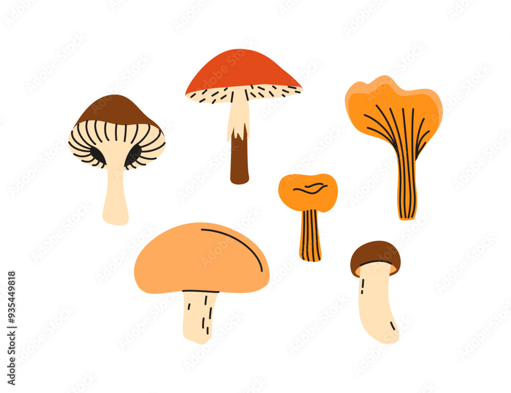 Vector set with forest mushrooms on a white background. Autumn harvest. Illustration in a flat style. Vector set with forest mushrooms on a white background. Autumn harvest. Illustration in a flat style.