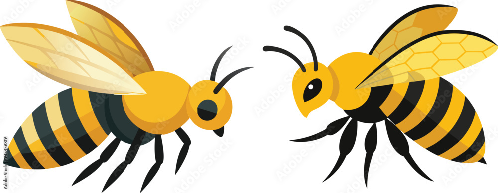 Bee, side view with white background Bee, side view with white background