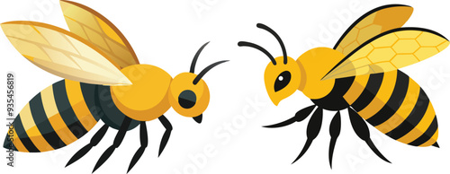 Bee, side view with white background 