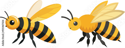 Bee, side view with white background 