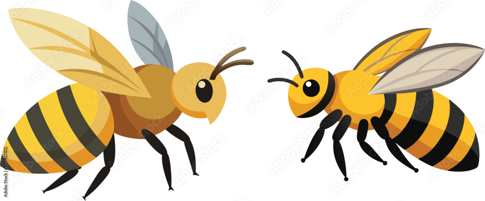Bee, side view with white background Bee, side view with white background