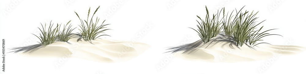 Transparent background with wave-like designs showing sea oats and beach grass Transparent background with wave-like designs showing sea oats and beach grass