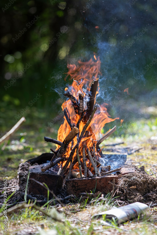 Feu de joie de branches avec de la fumée en foret. Flamme orange d'un feu de camp réalisé avec des branches. Arrière-plan de feu de joie. Feu de joie de branches avec de la fumée en foret. Flamme orange d'un feu de camp réalisé avec des branches. Arrière-plan de feu de joie.
