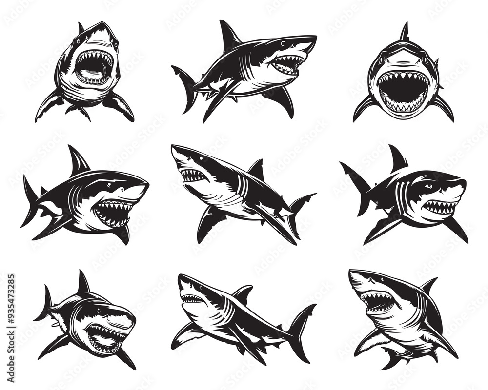 Obraz premium Great White Shark Vector Illustration Set - Hand Drawn Great White Shark - Black and White Shark Logo Set