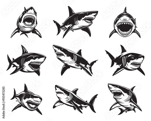 Great White Shark Vector Illustration Set - Hand Drawn Great White Shark - Black and White Shark Logo Set