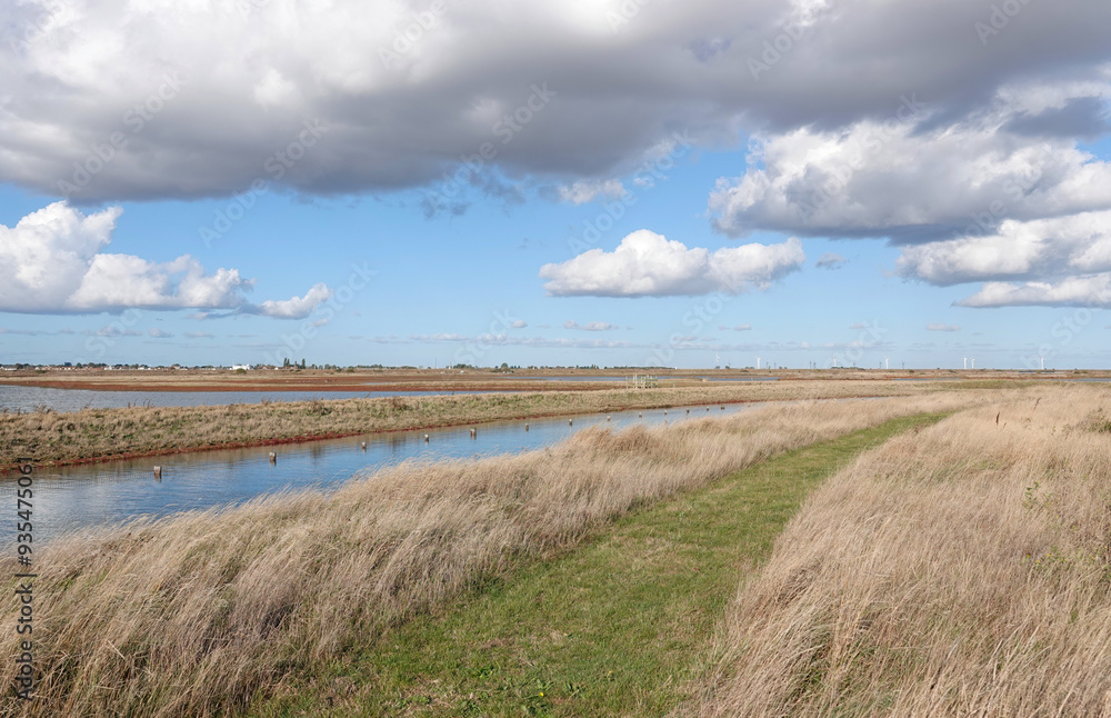 A beautiful view across Wallasea Island nature reserve on a bright October day in Essex, England, UK. A beautiful view across Wallasea Island nature reserve on a bright October day in Essex, England, UK.