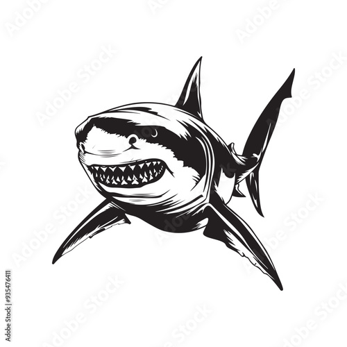 Great white shark vector design isolated on white background - black and white illustration great white shark