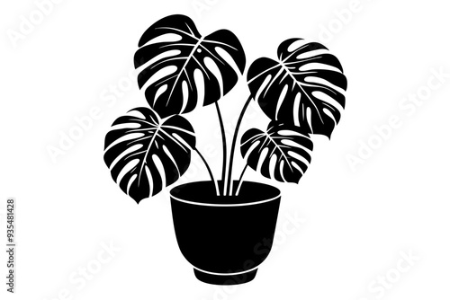 Monstera deliciosa plant in pot silhouette vector, potted plant vector silhouette vector

