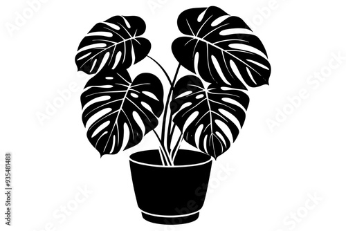 Monstera deliciosa plant in pot silhouette vector, potted plant vector silhouette vector

