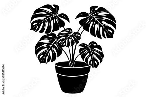 Monstera deliciosa plant in pot silhouette vector, potted plant vector silhouette vector


