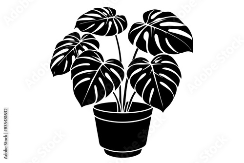 Monstera deliciosa plant in pot silhouette vector, potted plant vector silhouette vector

