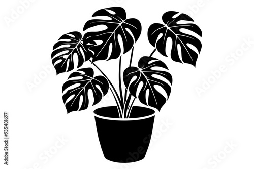 Monstera deliciosa plant in pot silhouette vector, potted plant vector silhouette vector

