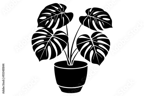 Monstera deliciosa plant in pot silhouette vector, potted plant vector silhouette vector

